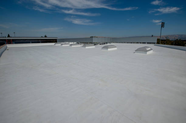 Best Gutter Installation and Repair  in Darien, GA