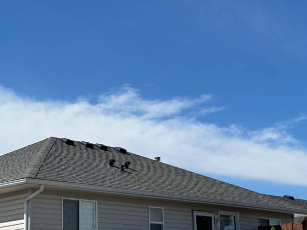 Best Sheet Metal Roofing  in Darien, GA